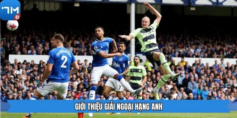 Giới thiệu giải Ngoại Hạng Anh