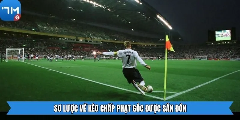 Sơ lược về kèo chấp phạt góc được săn đón