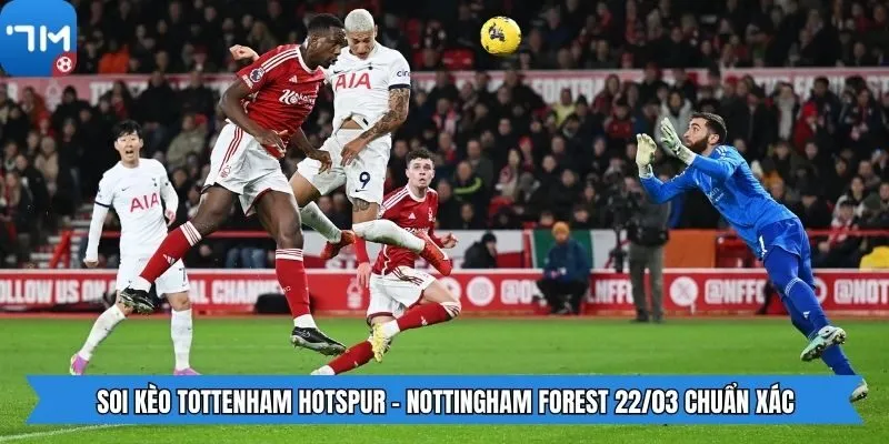 Soi kèo Tottenham Hotspur - Nottingham Forest 22/03 chuẩn xác