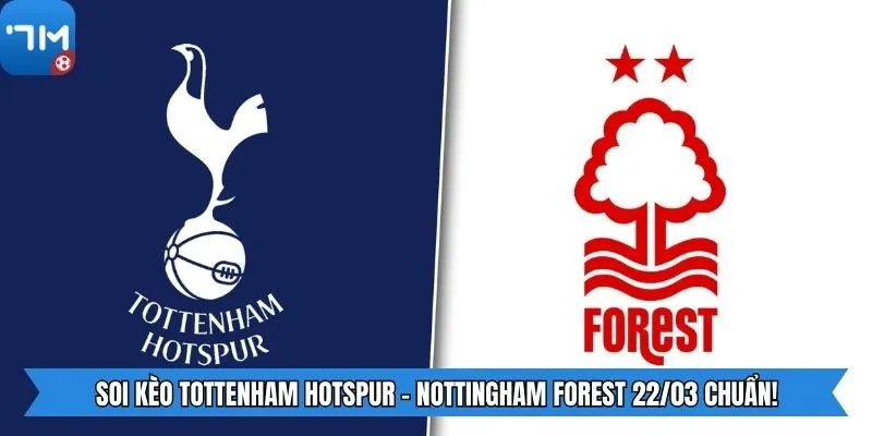 Soi Kèo Tottenham Hotspur - Nottingham Forest 22/03 Chuẩn!