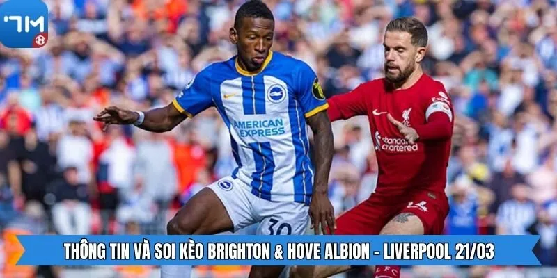 Thông tin và soi kèo Brighton & Hove Albion - Liverpool 21/03