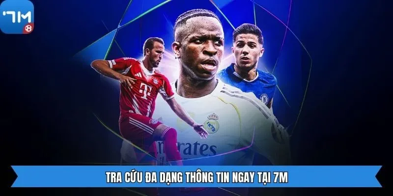 Tra cứu đa dạng thông tin ngay tại 7m